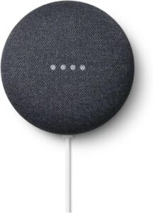 Google Nest Mini